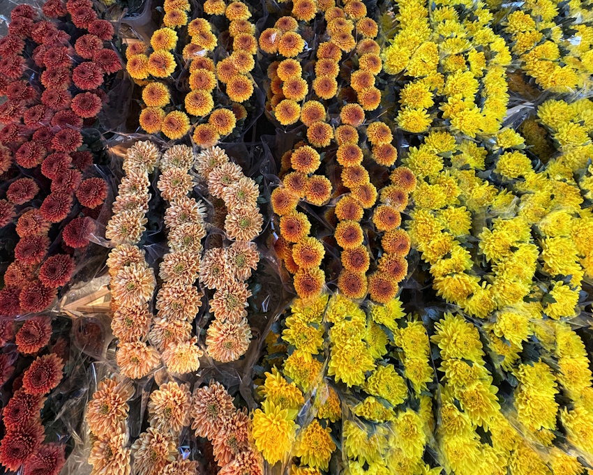 Halloween creativo: decorazioni floreali e forniture professionali per eventi da brivido