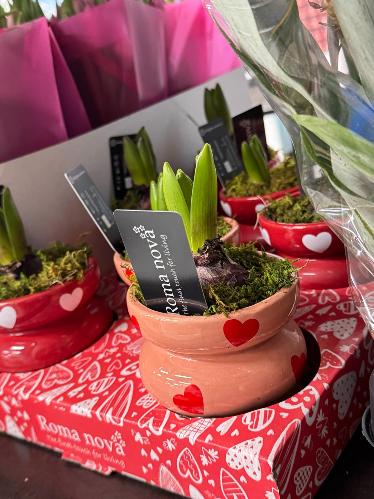 Valentino con ErcolanoFlora: fiori, decorazioni e forniture per celebrare l’amore