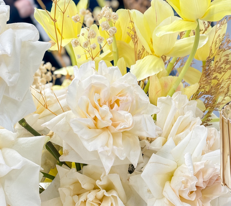 I fiori primaverili più richiesti nel 2026: guida per fioristi e rivenditori